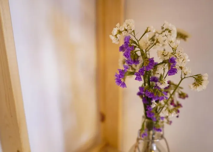 לינה וארוחת בוקר The Good Place 4*